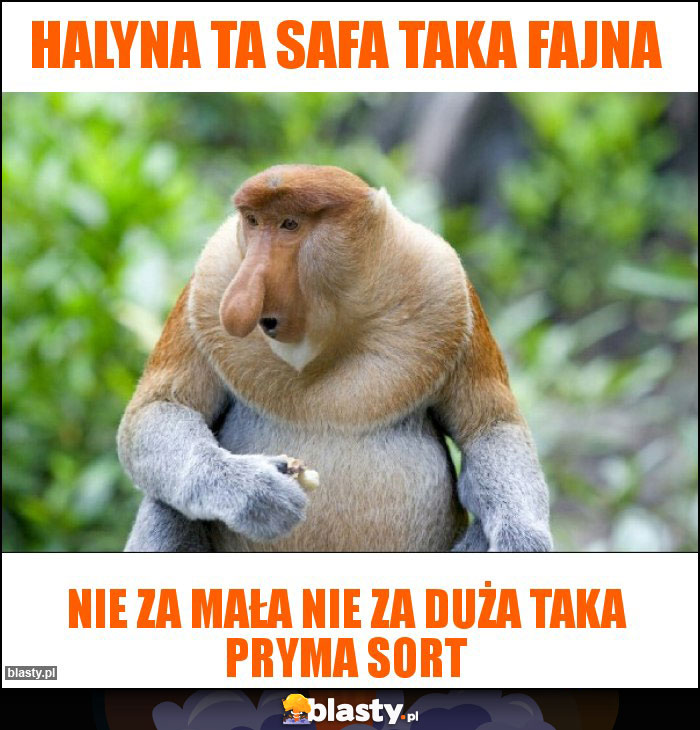 Halyna ta safa taka fajna