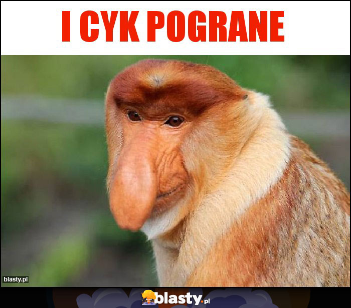 I cyk pograne