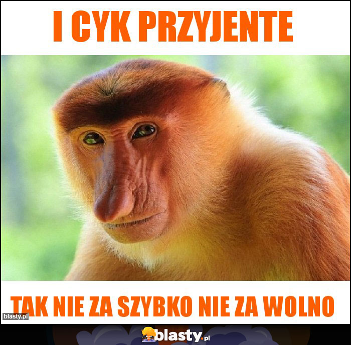 I cyk przyjente