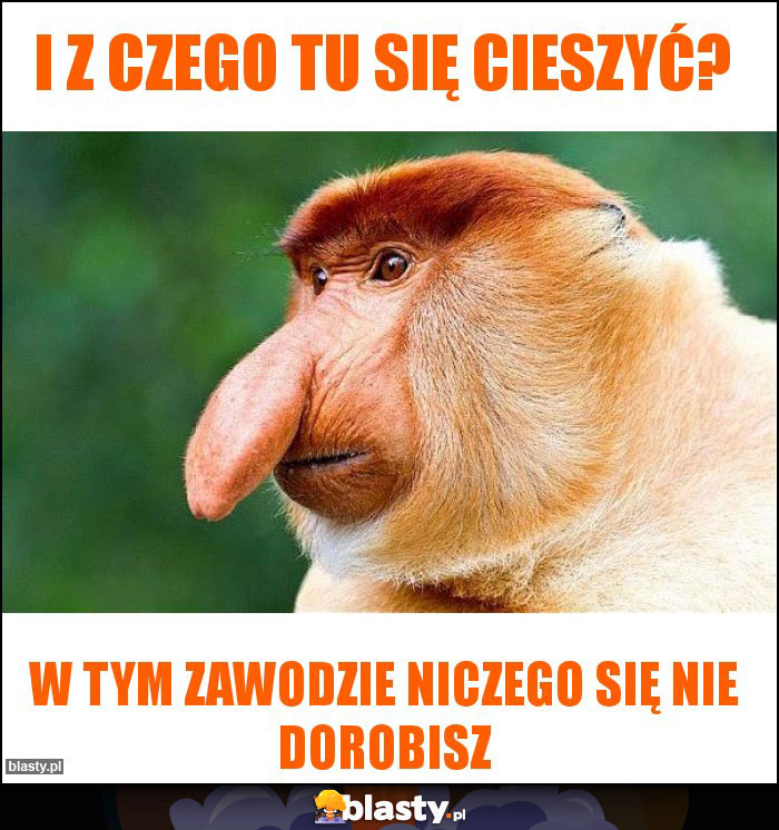 I z czego tu się cieszyć?