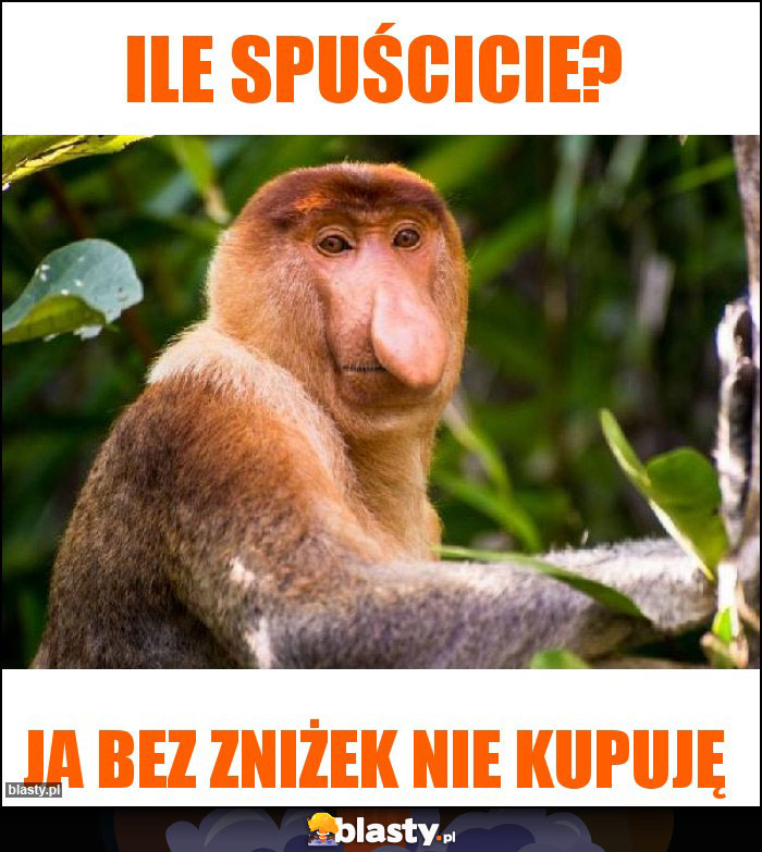 Ile spuścicie?