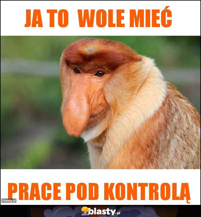 Ja to  wole mieć