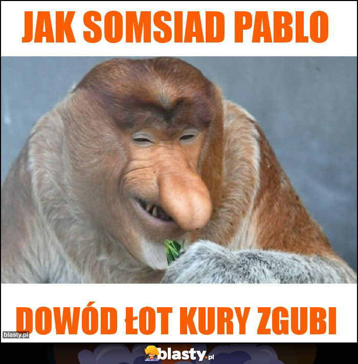 Jak somsiad Pablo