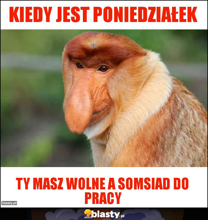 Kiedy jest poniedziałek