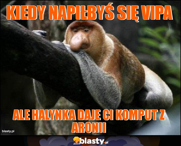 Kiedy napiłbyś się vipa