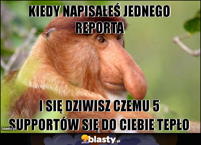 Kiedy napisałeś jednego reporta