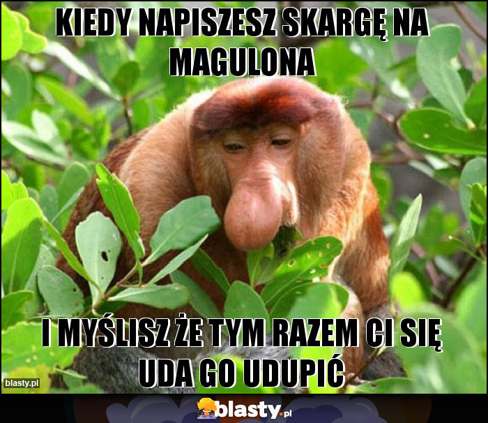 Kiedy napiszesz skargę na Magulona