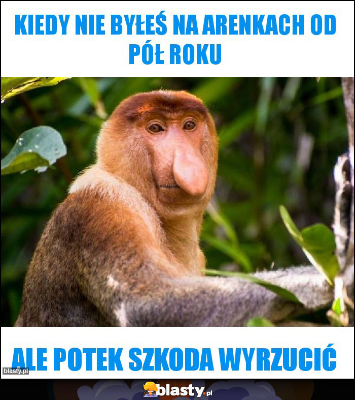 KIEDY NIE BYŁEŚ NA ARENKACH OD PÓŁ ROKU