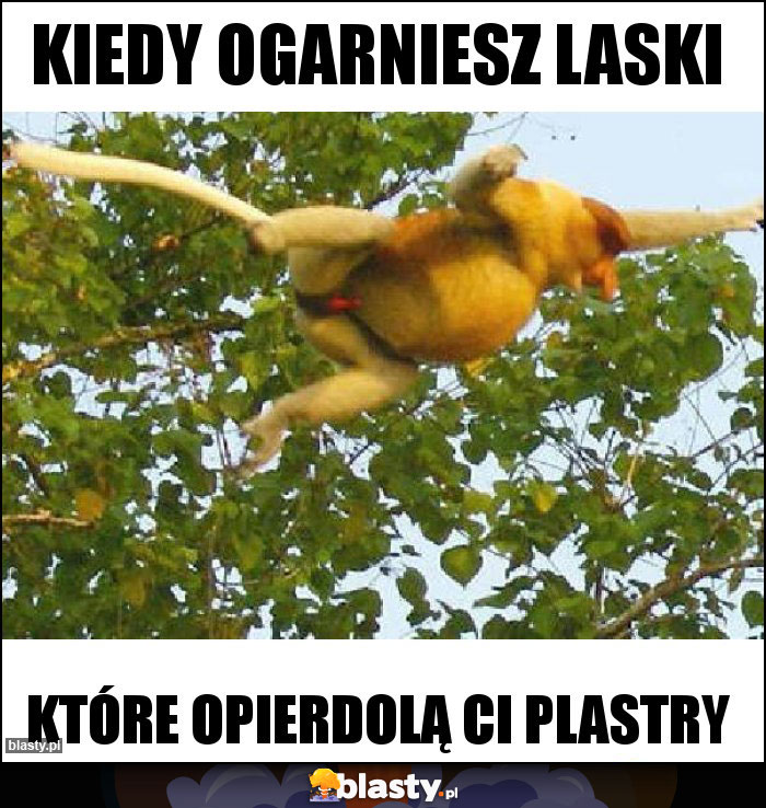 Kiedy ogarniesz laski