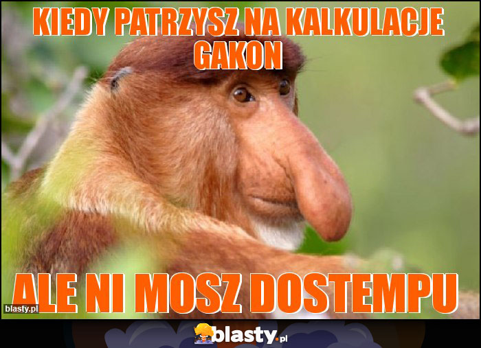 kiedy patrzysz na kalkulacje gakon