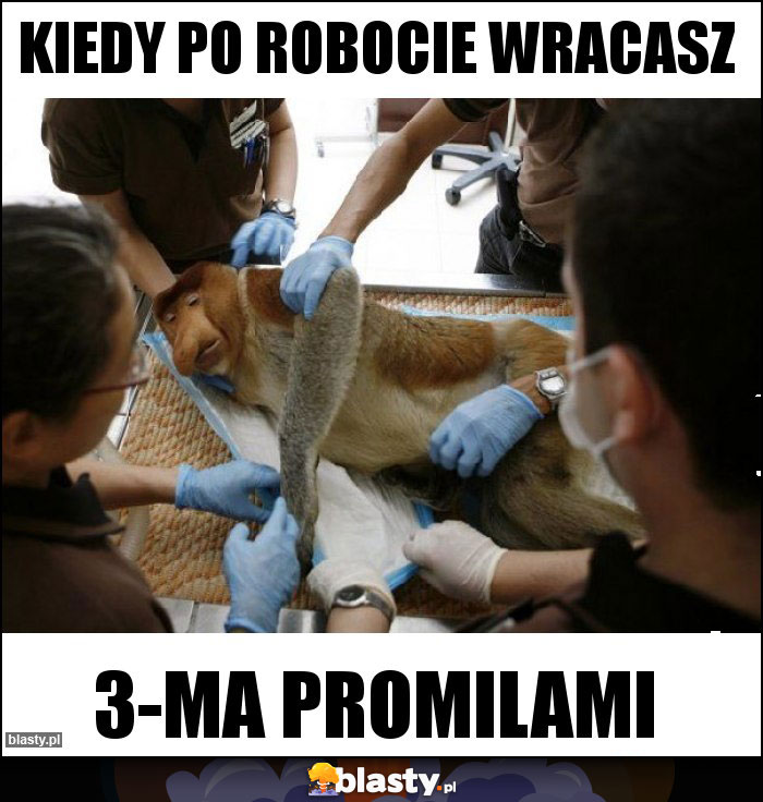 kiedy po robocie wrACASZ