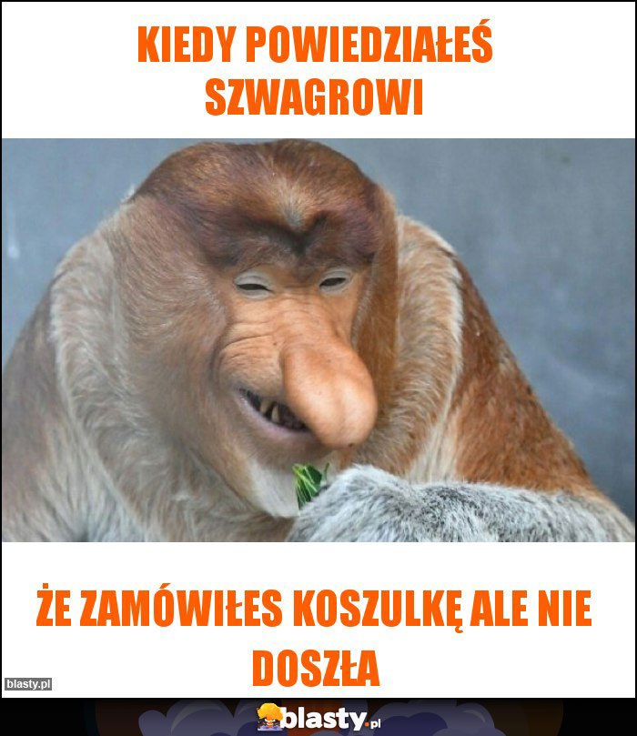 Kiedy powiedziałeś szwagrowi