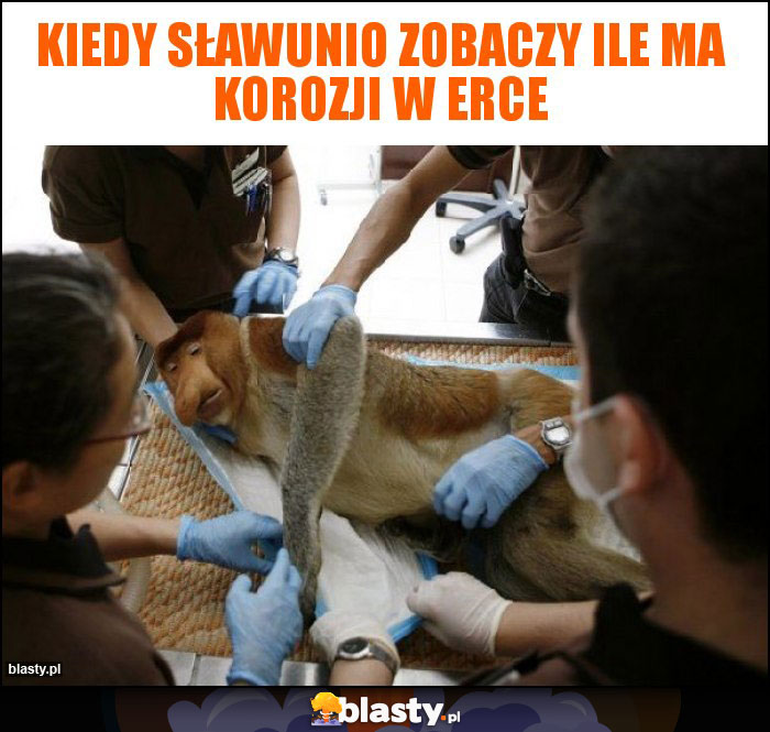 Kiedy sławunio zobaczy ile ma korozji w erce