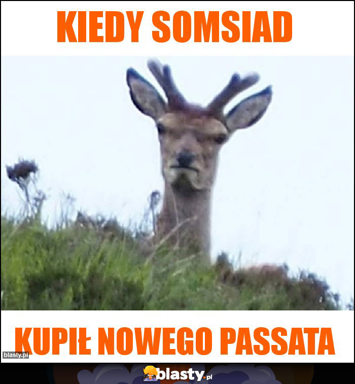 Kiedy somsiad