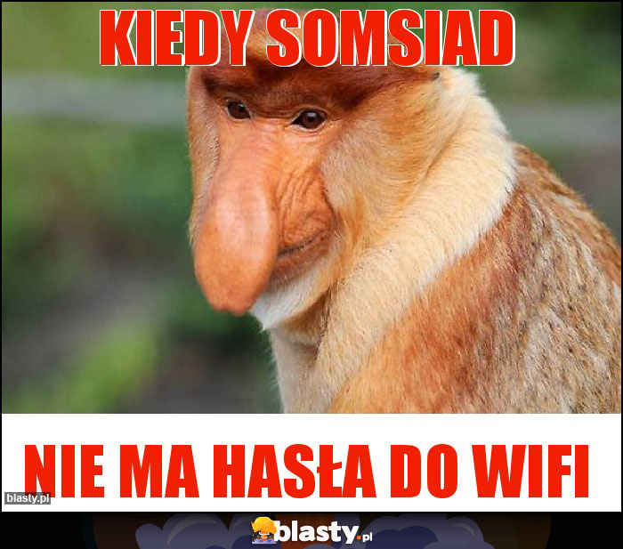 Kiedy somsiad