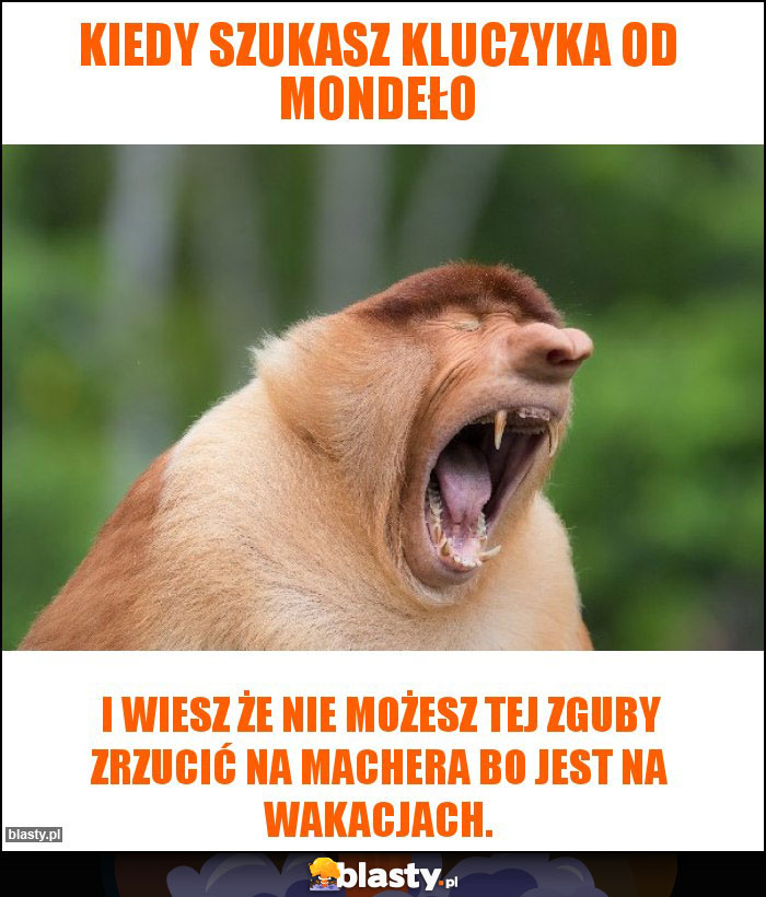 Kiedy szukasz kluczyka od Mondeło