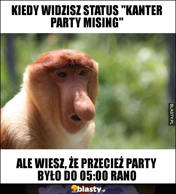 KIEDY WIDZISZ STATUS 