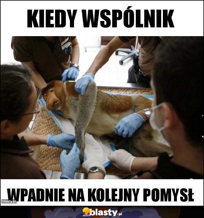 KIEDY WSPÓLNIK