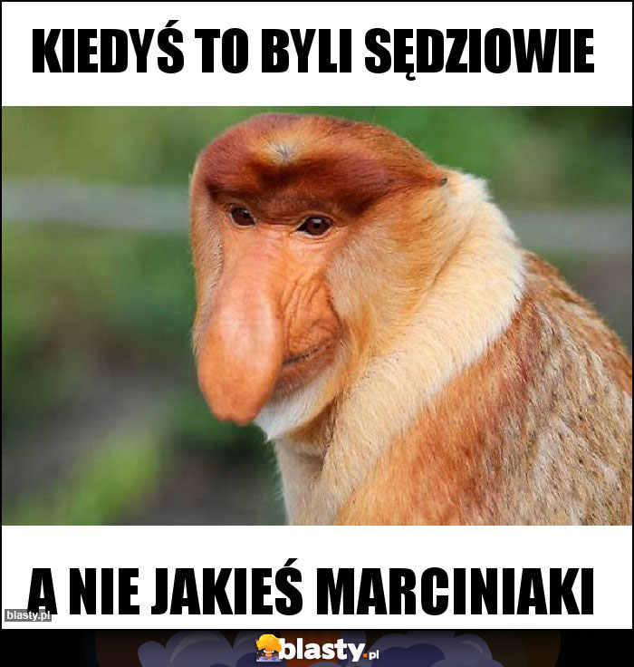 Kiedyś to byli sędziowie