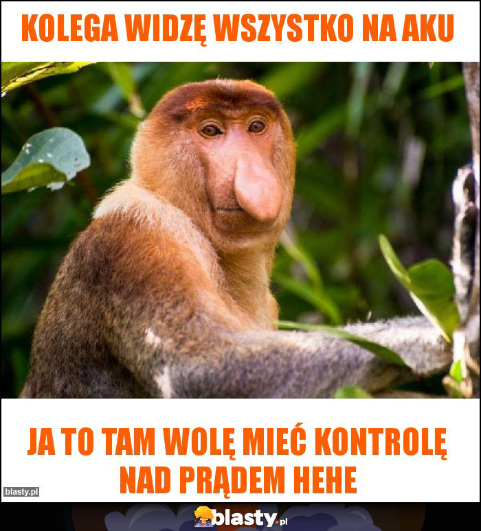 Kolega widzę wszystko na aku