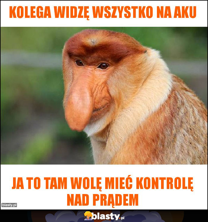 Kolega widzę wszystko na aku