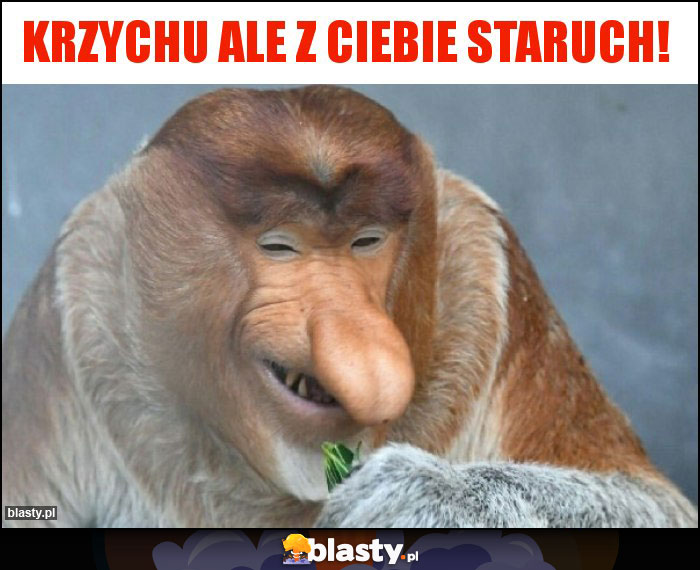 krzychu ale z ciebie staruch!