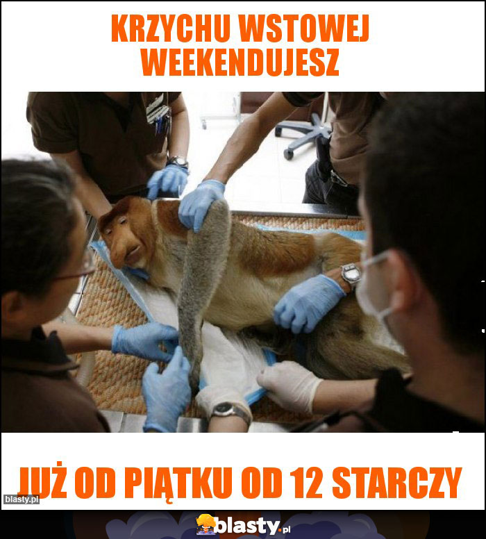 Krzychu wstowej weekendujesz