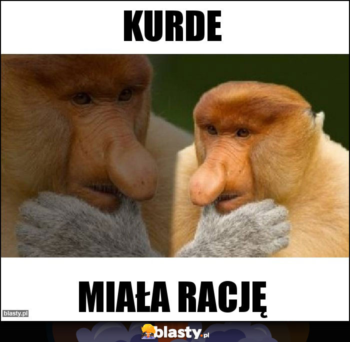 Kurde