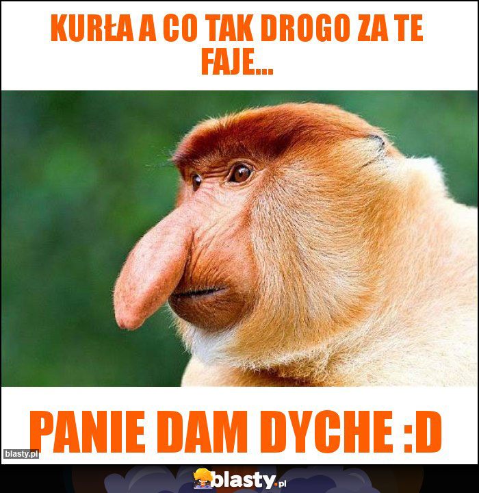 kurła a co tak drogo za te faje...