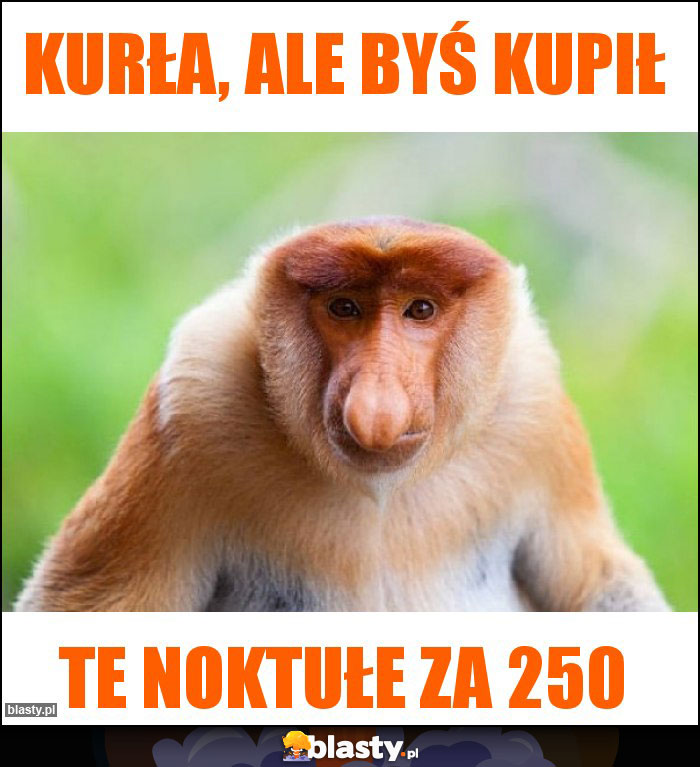 KURŁA, ale byś kupił