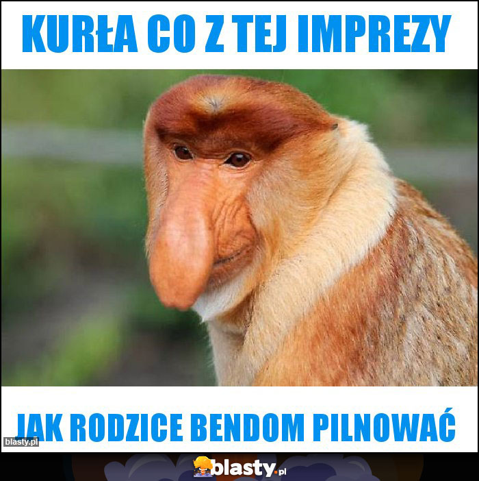 KURŁA CO Z TEJ IMPREZY