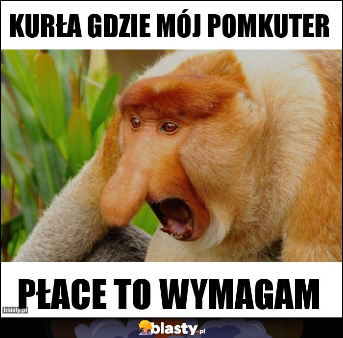 KUrła gdzie mój pomkuter