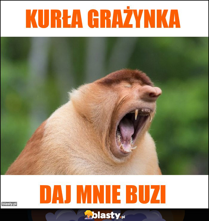 Kurła grażynka