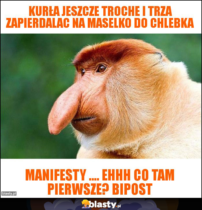 kurła jeszcze troche i trza zapierdalac na maselko do chlebka