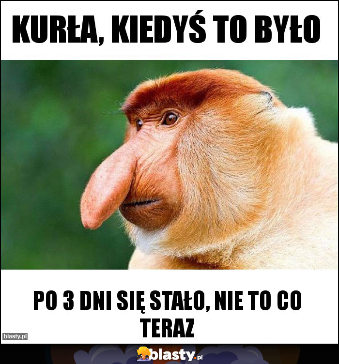 kurła, kiedyś to było