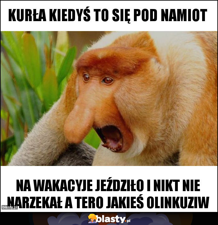 Kurła kiedyś to się pod namiot