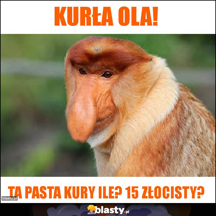 Kurła Ola!