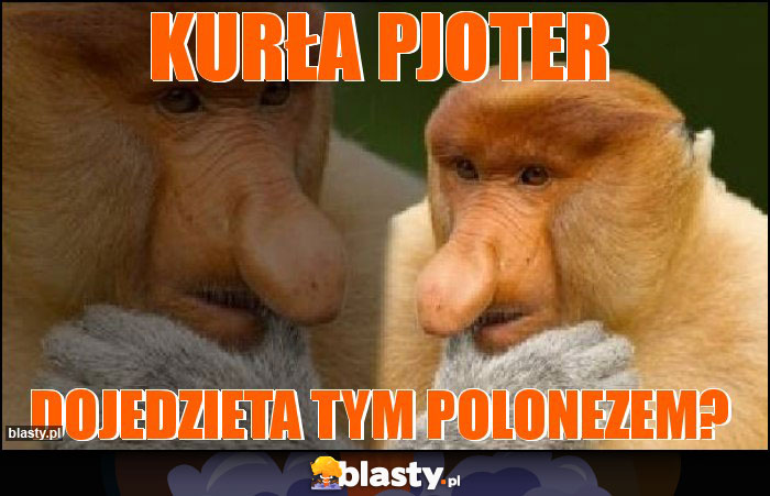 Kurła Pjoter