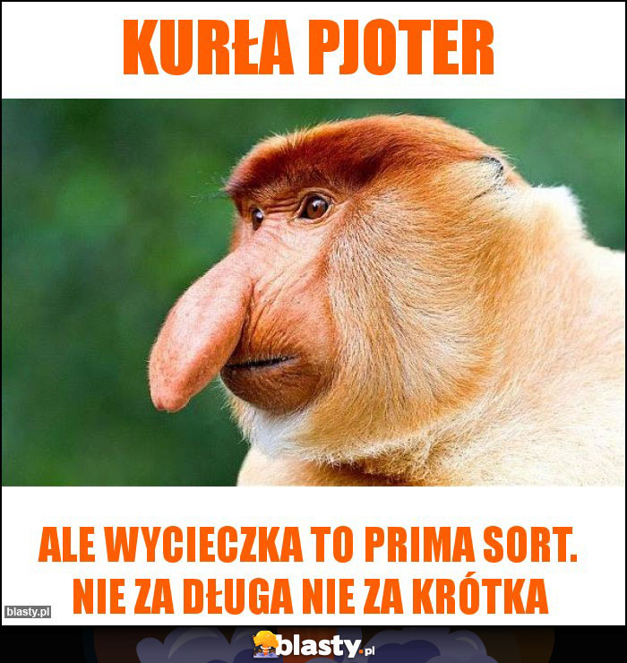 Kurła Pjoter
