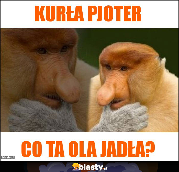 Kurła pjoter