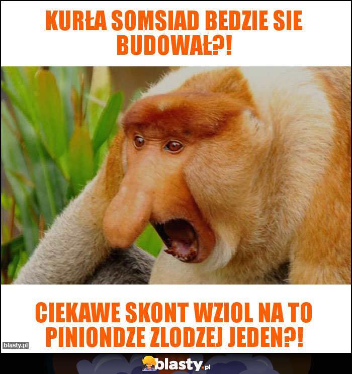 Kurła somsiad bedzie sie budował?!