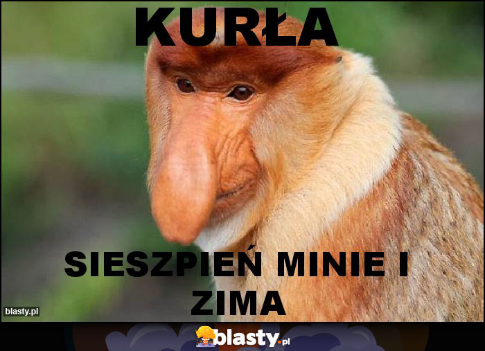 Kurła