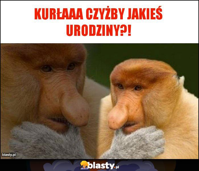 kurłaaa czyżby jakieś urodziny?!