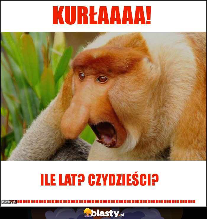 kurłaaaa!