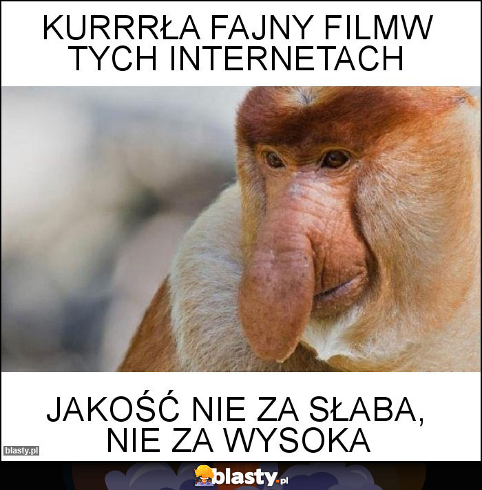 Kurrrła fajny filmw tych internetach