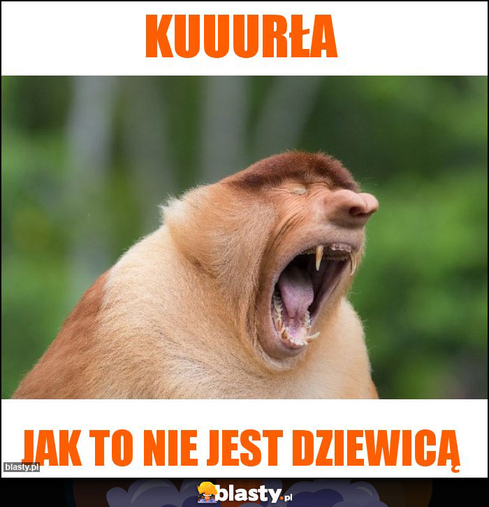 Kuuurła