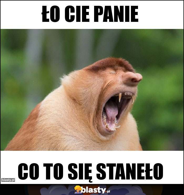 Ło cie panie