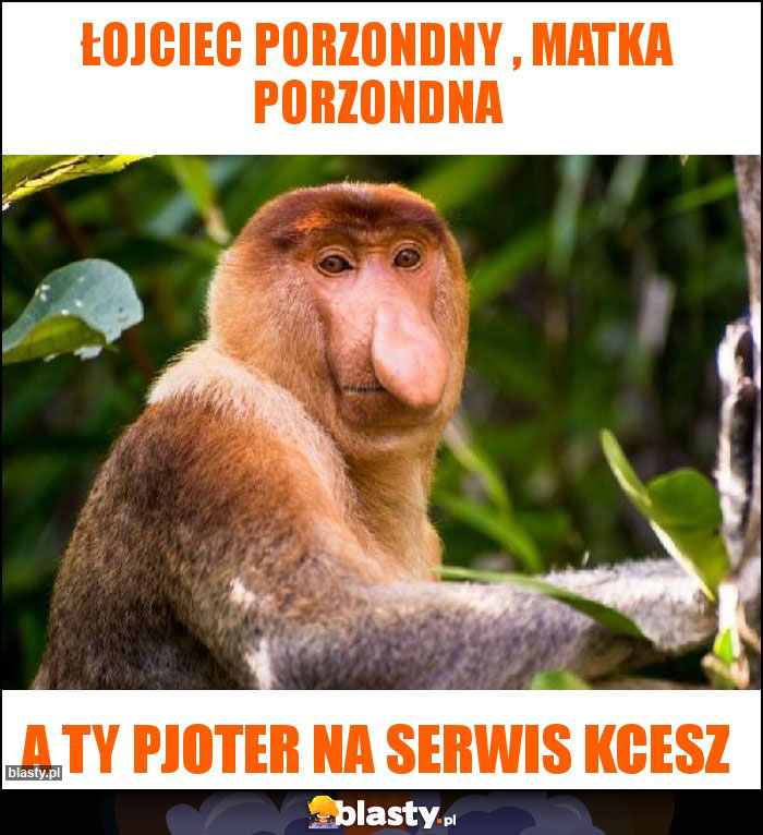 Łojciec porzondny , matka porzondna