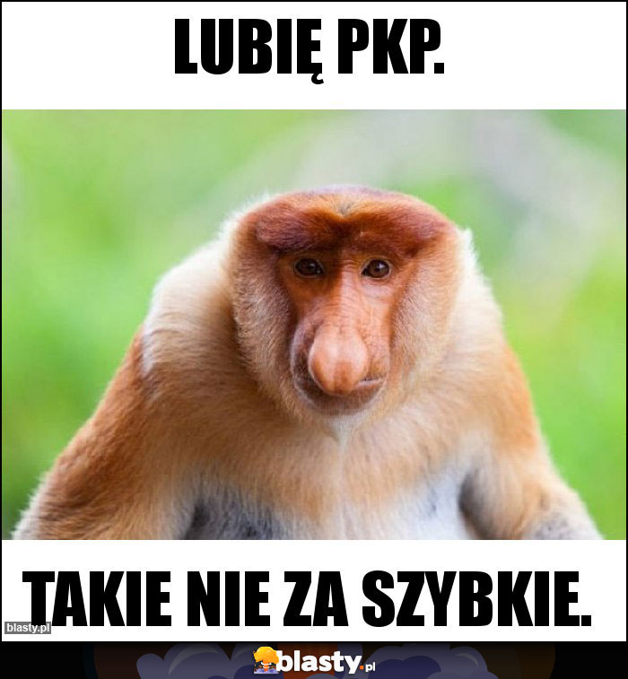 Lubię PKP.