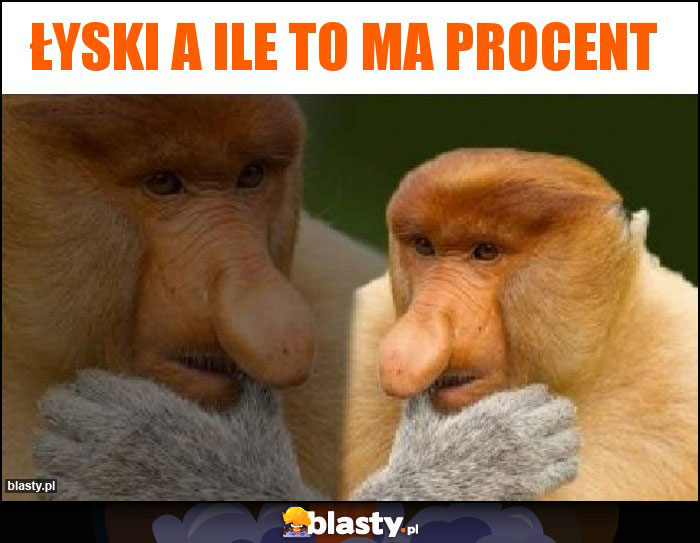 ŁYSKI A ILE TO MA PROCENT